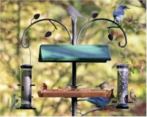 Jim's Birdacious Treats, Trays & Toppers